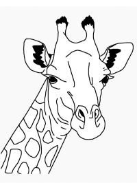 tête girafe