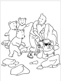 Tintin et les ours