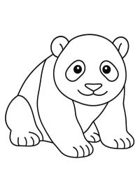 Bébé panda