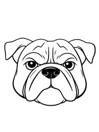 Tête bulldog