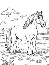 Cheval Clydesdale