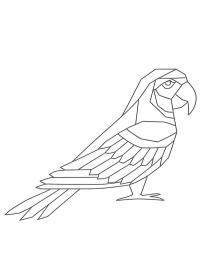 Perroquet géométrique