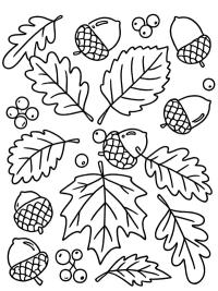 Feuilles d'automne et glands