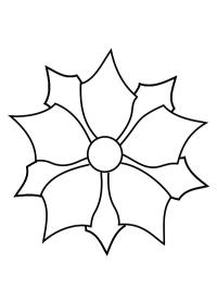 Poinsettia (Étoile de Noël)