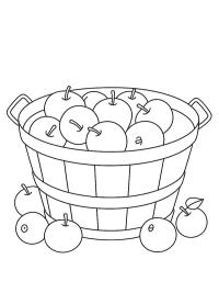 Panier avec des pommes