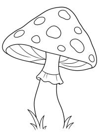 Champignon tacheté