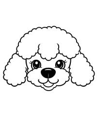 Tête caniche