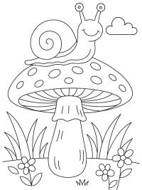 Escargot sur champignon