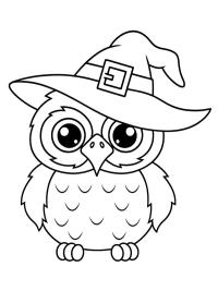 Hibou avec chapeau de sorcière