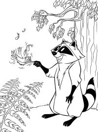 Raton laveur Meeko et colibri Flit