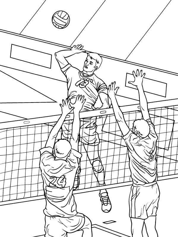 Volley-ball Coloriage