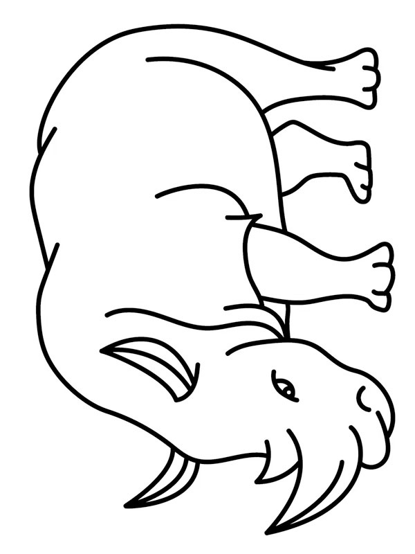 Rhinocéros dangereux Coloriage