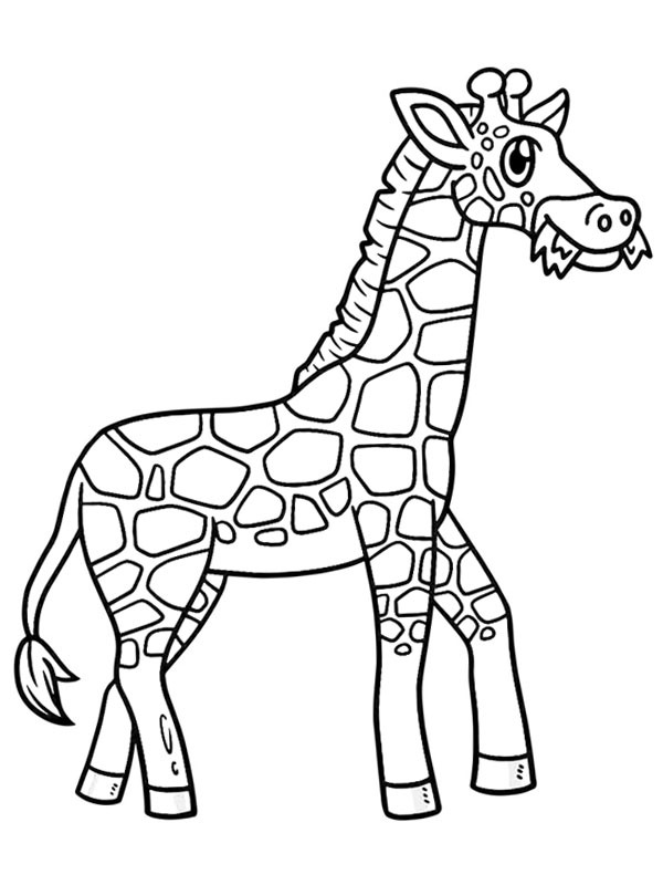 Girafe mange de l'herbe Coloriage