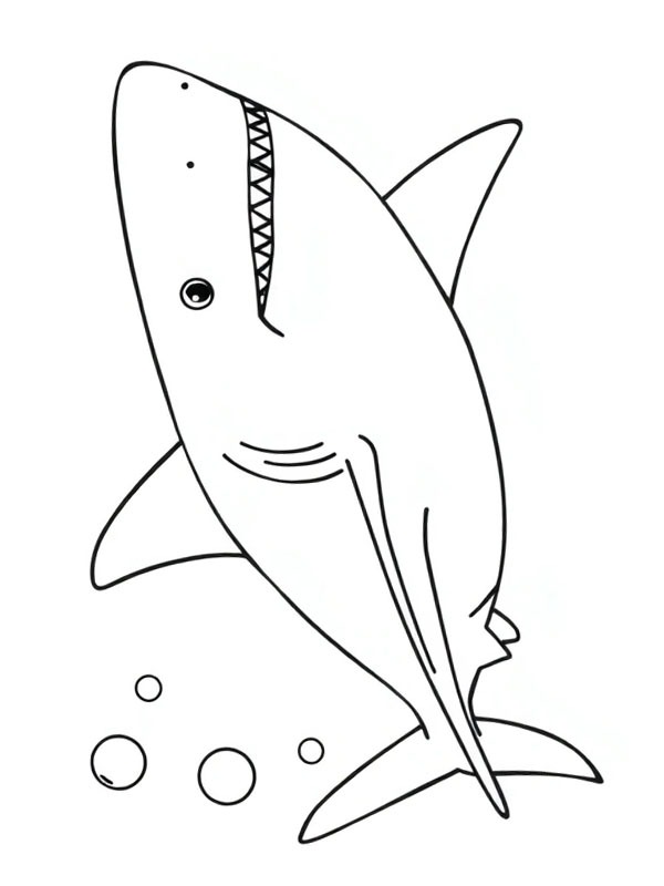 Grand requin blanc Coloriage