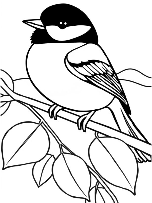 Parus major Coloriage