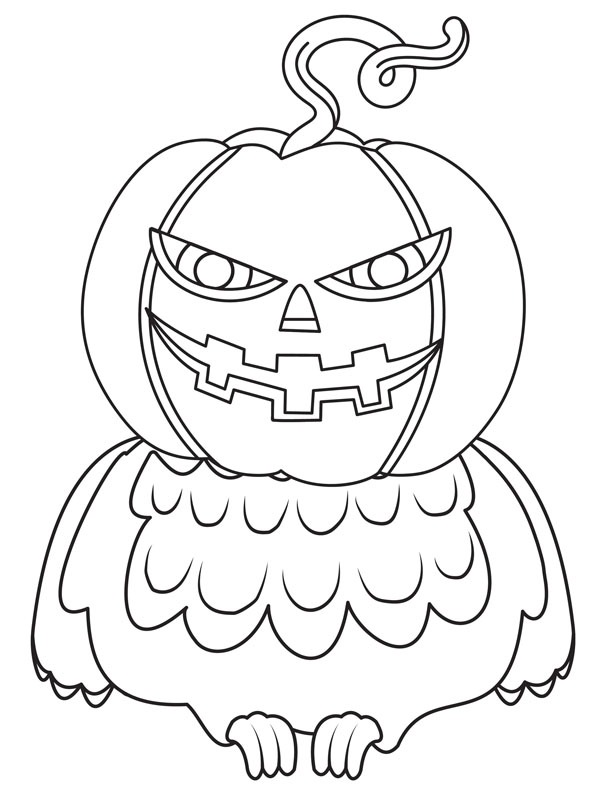 Citrouille hibou Coloriage