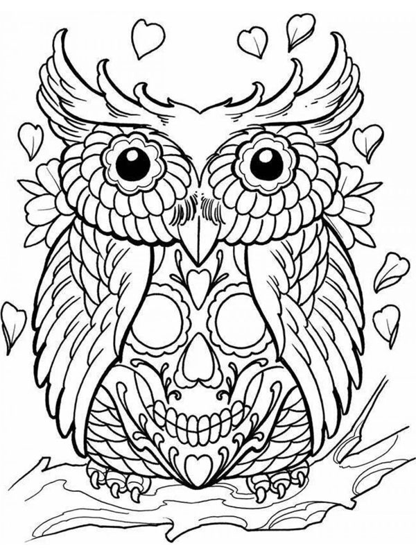 Hibou à tête de mort Coloriage