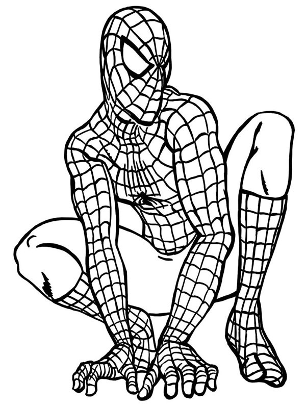 Spiderman est accroupi Coloriage