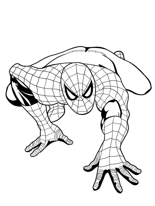 Spiderman rampe Coloriage